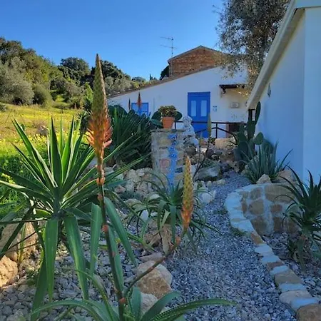 Appartamento Origano Acquedolci Exterior foto