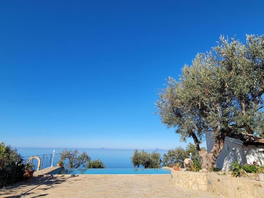 Origano Holiday home *