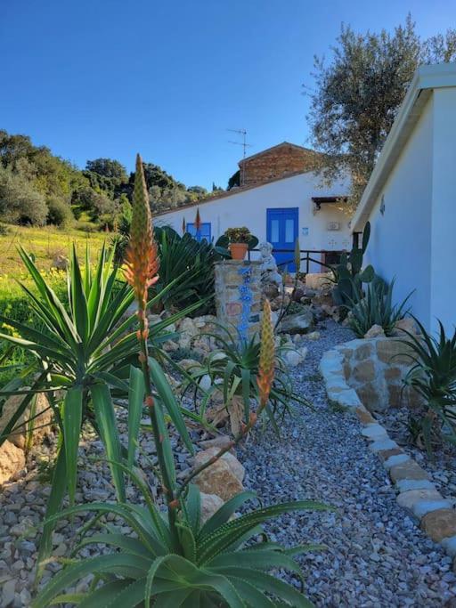 Holiday home Origano *