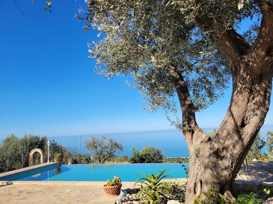 Origano Holiday home *